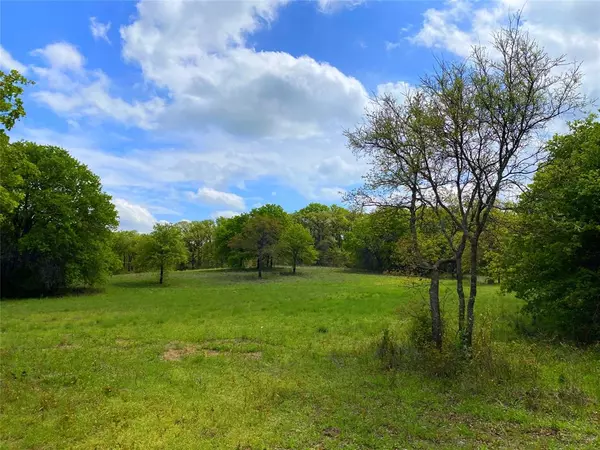 Montague, TX 76251,Tract 1 TX 175