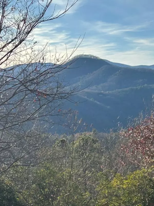 Hiawassee, GA 30546,10 The Ridges /Bill Bro