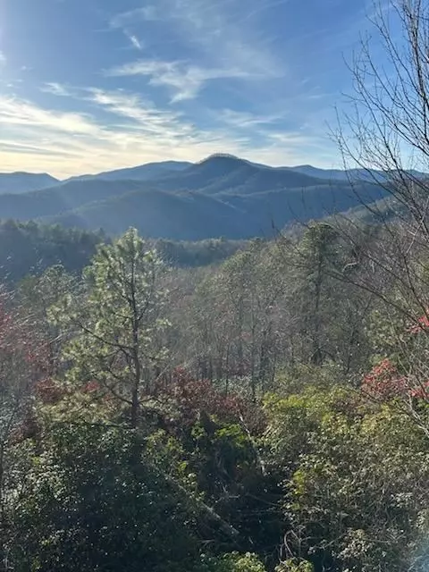 Hiawassee, GA 30546,11 The Ridges /Bill Bro