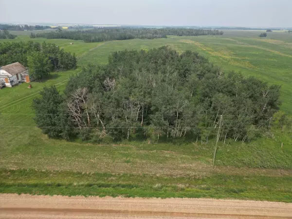 Rural Stettler No. 6 County Of, AB T0C 2L0,ON TOWNSHIP ROAD 382