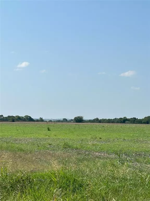 Avalon, TX 76623,Lot 7 Goodwyn Road