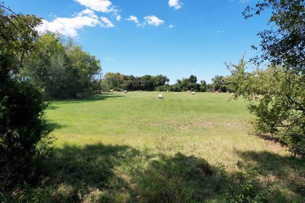 Sulphur Springs, TX 75482,Lot 4 County Road 4612