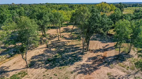 Mineola, TX 75773,TBD Holland Rd (CR 2805)