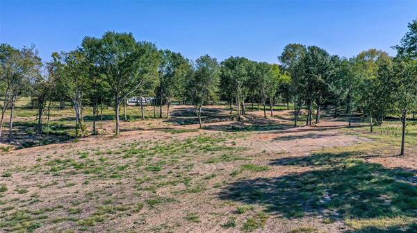 Mineola, TX 75773,TBD Holland Rd (CR 2805)