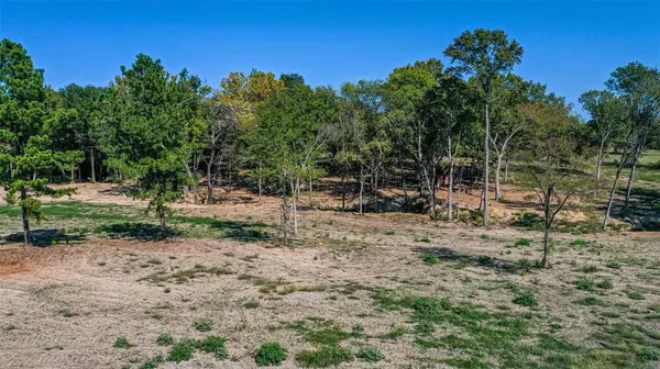 Mineola, TX 75773,TBD Holland Rd (CR 2805)