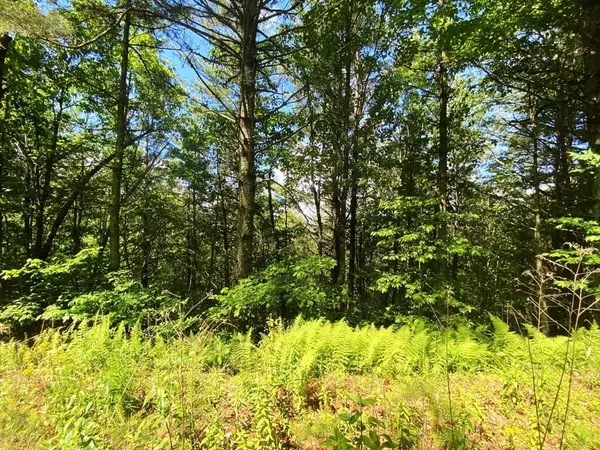 Lot 97 Choctaw Ridge Trail, Murphy, NC 28906