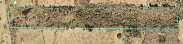 Annona, TX 75550,4169 County Road 4415