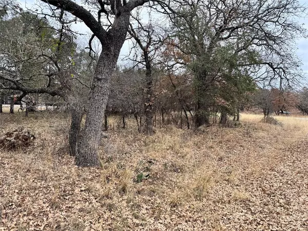 May, TX 76857,TBD Lot 674 S Lakeside Drive