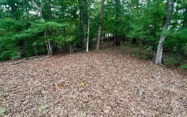 Murphy, NC 28906,14 Lots Hedden Pines