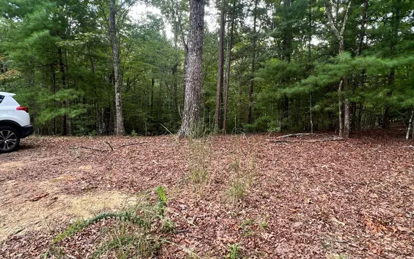 Murphy, NC 28906,14 Lots Hedden Pines