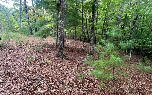 Murphy, NC 28906,14 Lots Hedden Pines