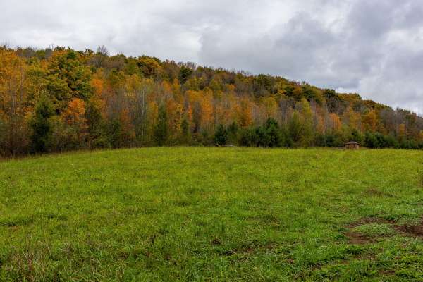 Meaford, ON N0H 1E0,084482 6 Side Road