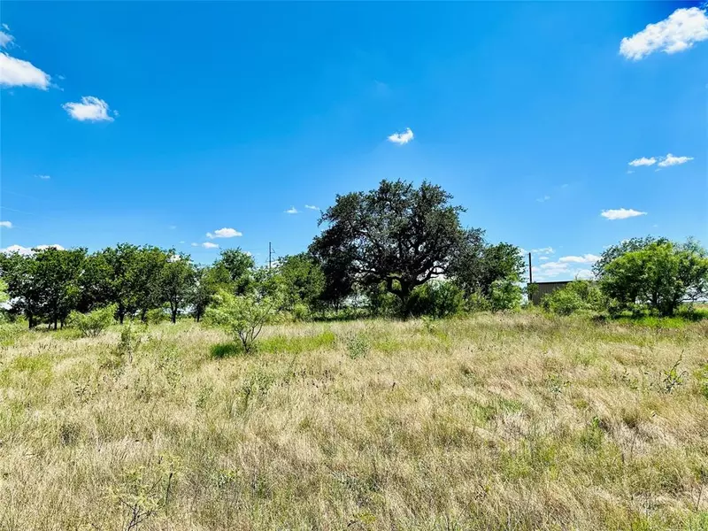 TBD Tx-206, Cross Plains, TX 76443