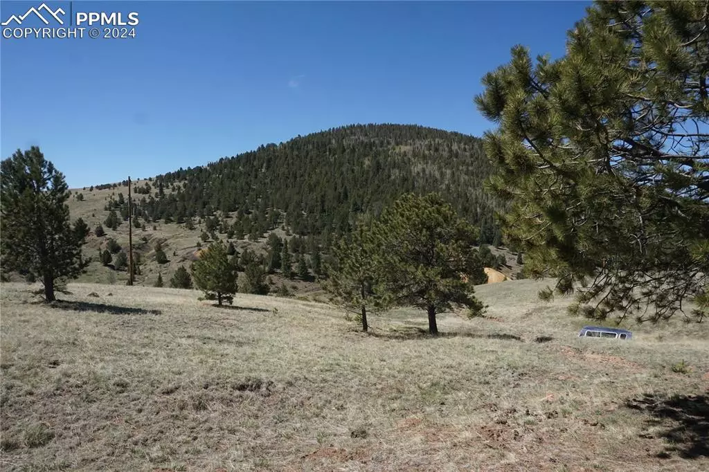 Victor, CO 80860,Vacant Land