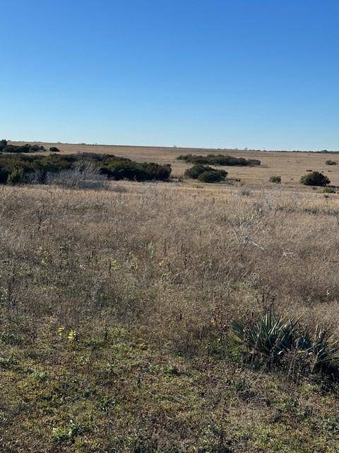 Stephenville, TX 76401,TBD Adobe Hill Drive #Lot 79