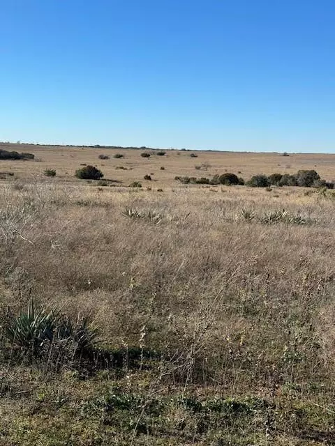 Stephenville, TX 76401,TBD Adobe Hill Drive #Lot 79