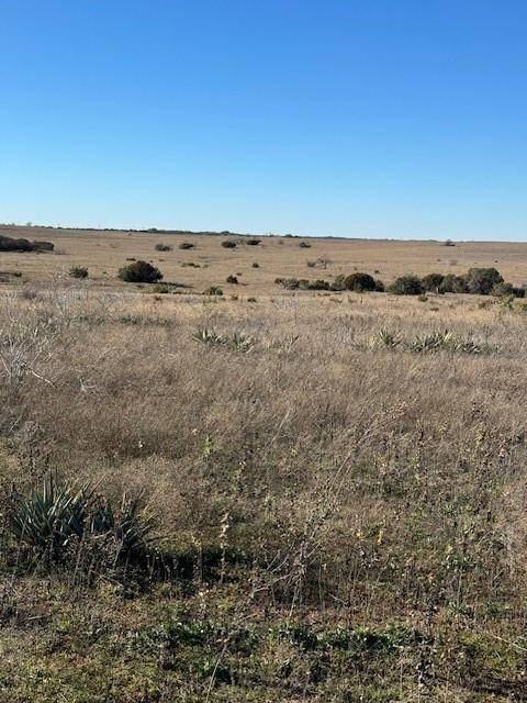 Stephenville, TX 76401,TBD Adobe Hill Drive #Lot 79