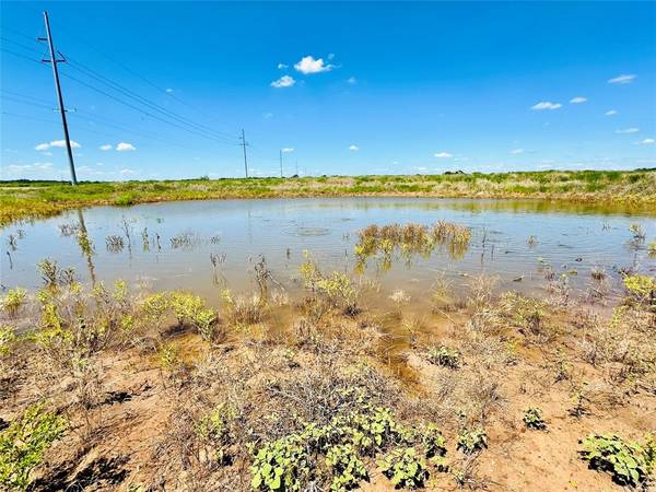 Cross Plains, TX 76443,TBD Tx-206