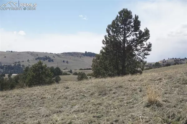 Victor, CO 80860,Vacant Land