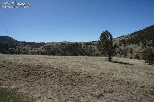 Victor, CO 80860,Vacant Land