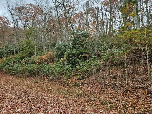 Lot 17 Fox Hollow Dr, Bastian, VA 24314