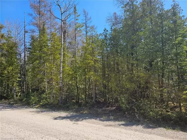 Northern Bruce Peninsula, ON N0H 1W0,LOT 2 SPRY RD