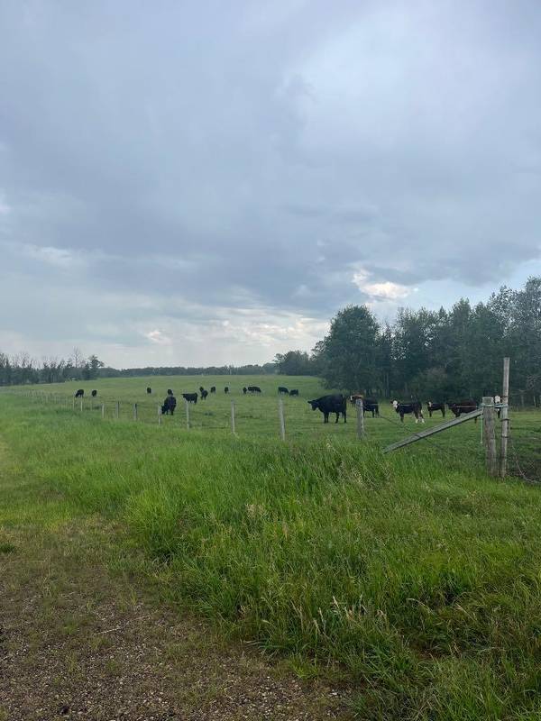 Rural Red Deer County, AB T4S 0M6,70 Acres SE of Innisfial