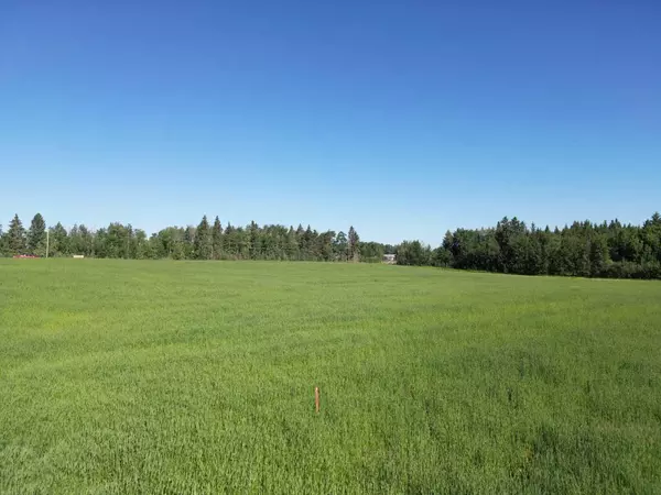 Rural Red Deer County, AB T0M 0K0,RR35