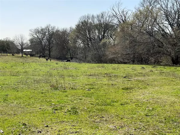 Crandall, TX 75114,2.9ac Lewis