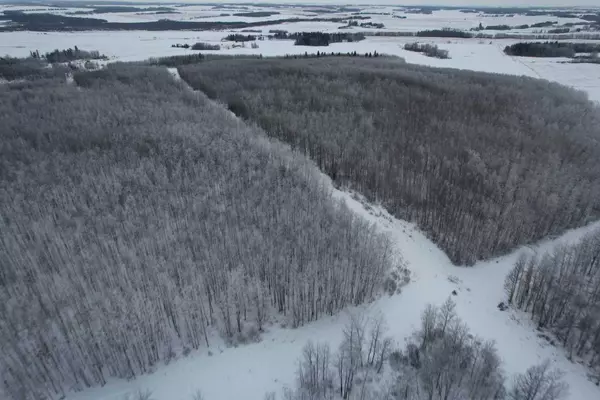 Rural Ponoka County, AB T4L 1X1,On Range Road 282