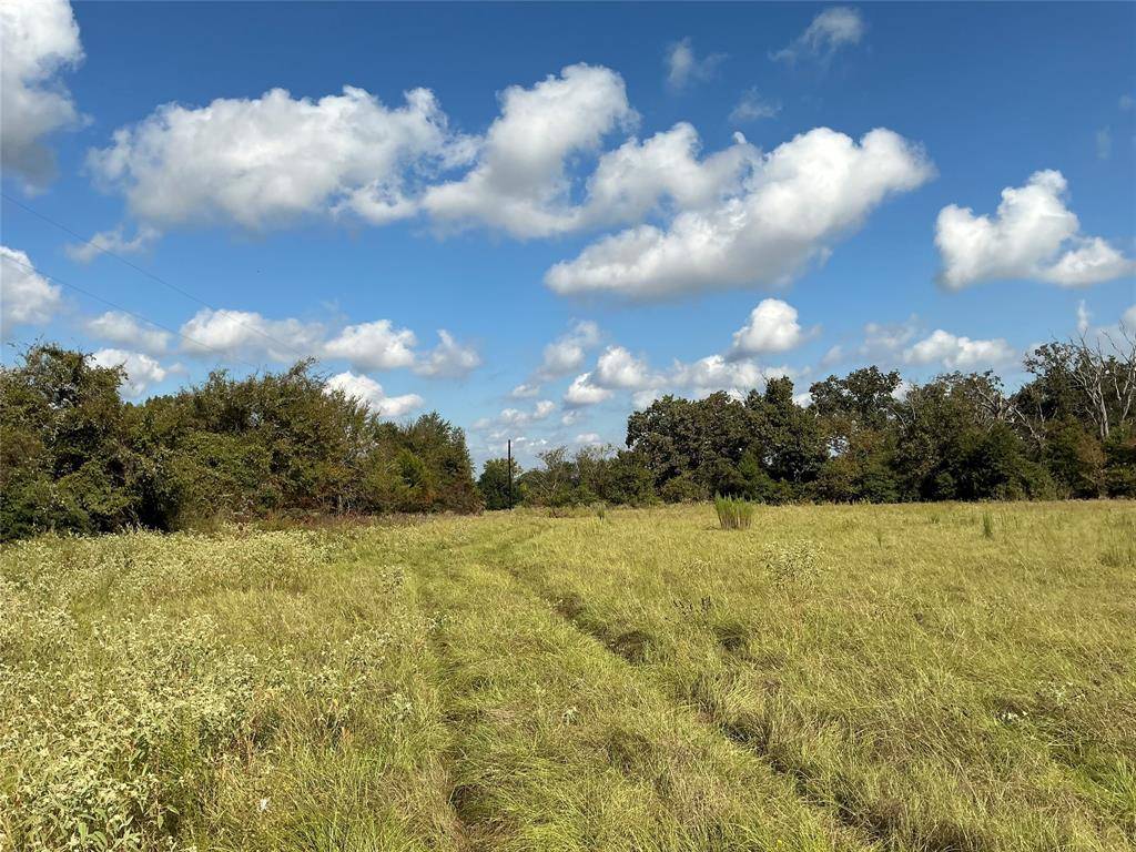 Oakwood, TX 75855,000 FM 489