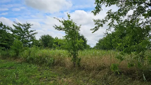 Ector, TX 75439,TBD Hwy 82