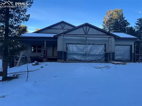 Woodland Park, CO 80863,620 Misty Pines CIR