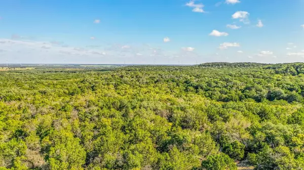 Cross Plains, TX 76443,Tract 4 CR 407