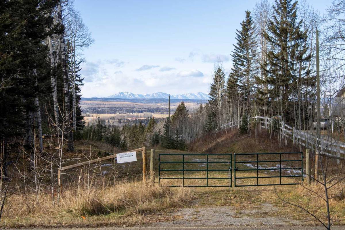 Rural Mountain View County, AB T0M1X0,Range Road 5.2