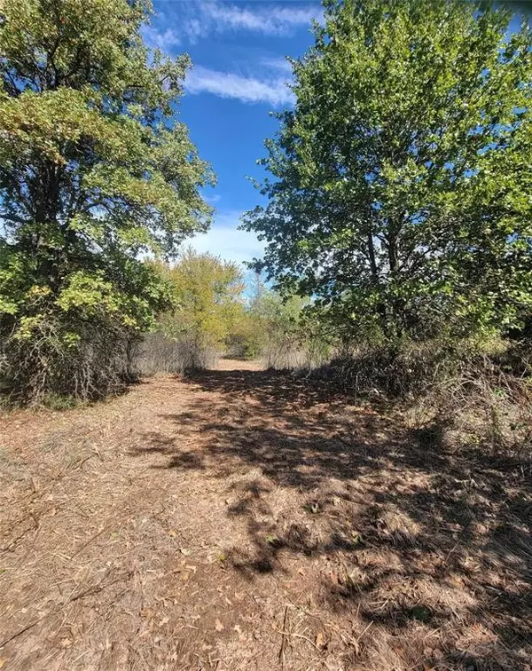 Azle, TX 76020,TBD Lot 6 Phillips Drive