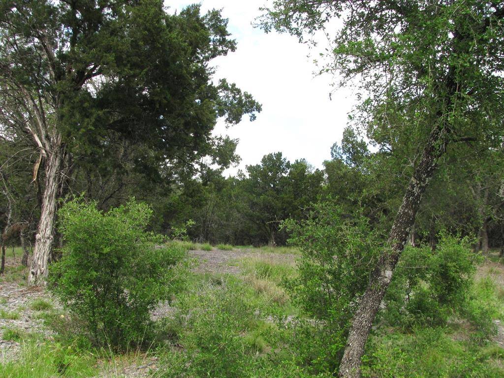 Evant, TX 76525,Lot 9 Ph 5 Flint Rock Court