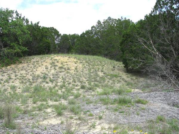 Evant, TX 76525,Lot 9 Ph 5 Flint Rock Court