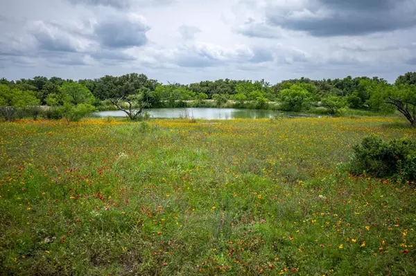 Tract 4 TBD County Road 292, Early, TX 76802