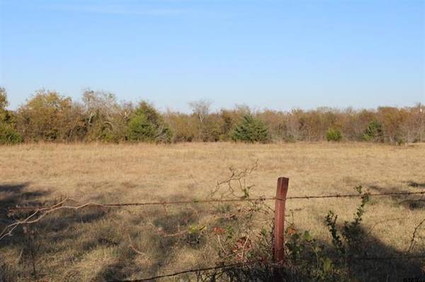 Wills Point, TX 75169,TBD CR 3415