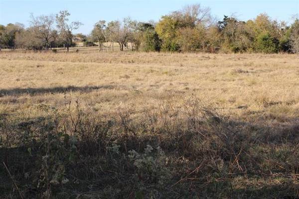 Wills Point, TX 75169,TBD CR 3415