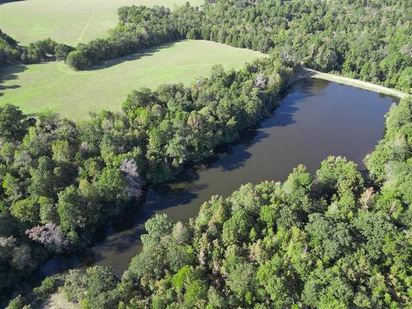 Mineola, TX 75773,145+/- Acres FM 49