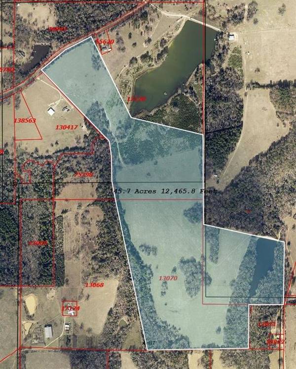 Mineola, TX 75773,145+/- Acres FM 49