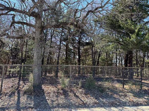 Gainesville, TX 76240,TBD Lot 4 CR 220