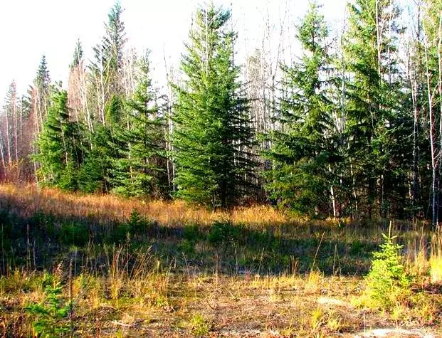 Lot 4 Old Mission Road, Lac La Biche, AB T0A 2C0