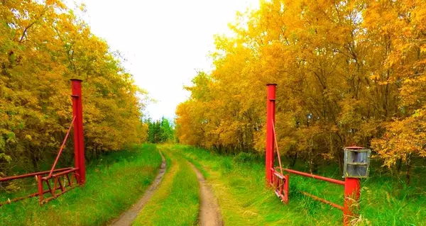 Lac La Biche, AB T0A 2C0,30 Lac La Biche Settlement