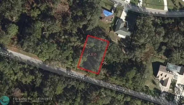 3151 bluebell rd, Lake Placid, FL 33852