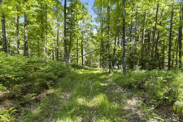 LOT 14 -15 0 Thunder LN, Central Frontenac, ON K0H 1B0