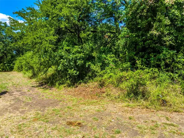 Lone Oak, TX 75453,Lot 17 S Oaks Lane