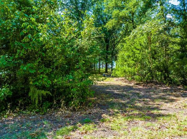 Lone Oak, TX 75453,Lot 17 S Oaks Lane